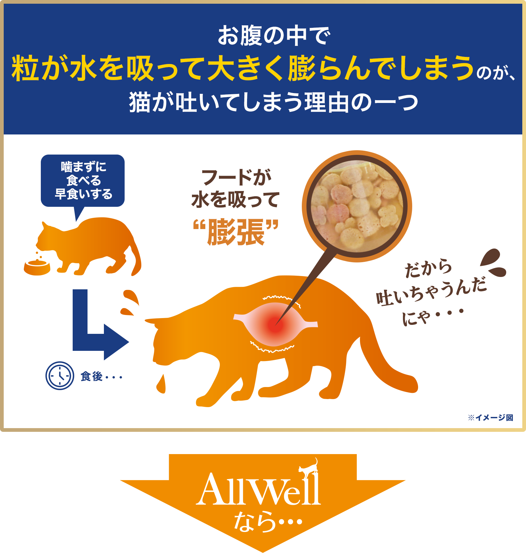 猫が餌をそのまま吐く原因とは？危険な病気のサインと受診基準