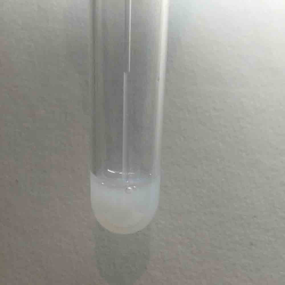 自宅で簡単！失敗しない石灰水の作り方と乾燥剤代用の裏ワザ【2026】
