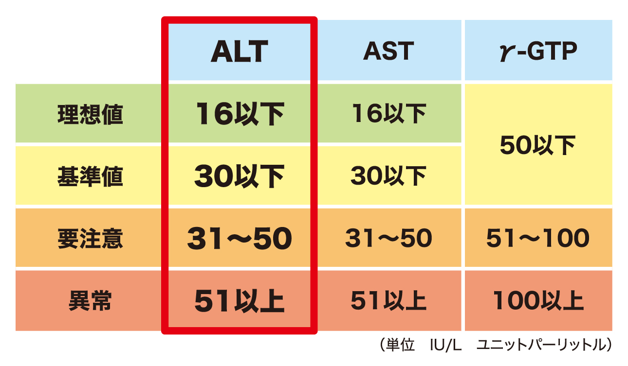 Ast・Alt基準値の異常を放置するな！片方だけ高い真相と数値改善法