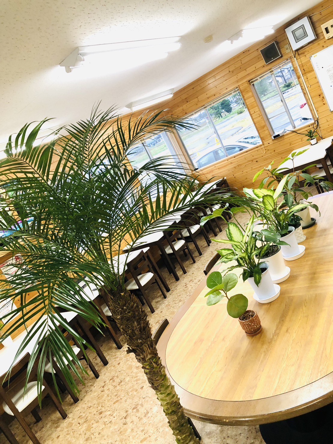 富山中部自動車学校の評判は？教官の態度や予約の取りやすさを徹底調査