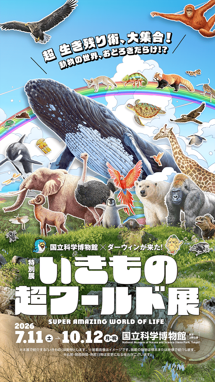 この恋は世界でいちばん美しい雨｜結末の真相と映画化最新事情を検証