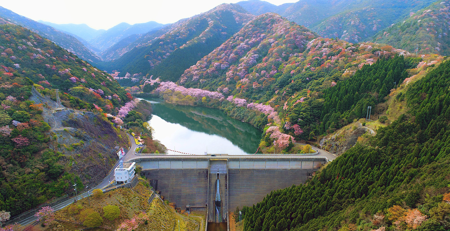 諭鶴羽ダムの心霊の噂と釣り禁止の真相｜羽生結弦聖地の魅力と2026年現地状況