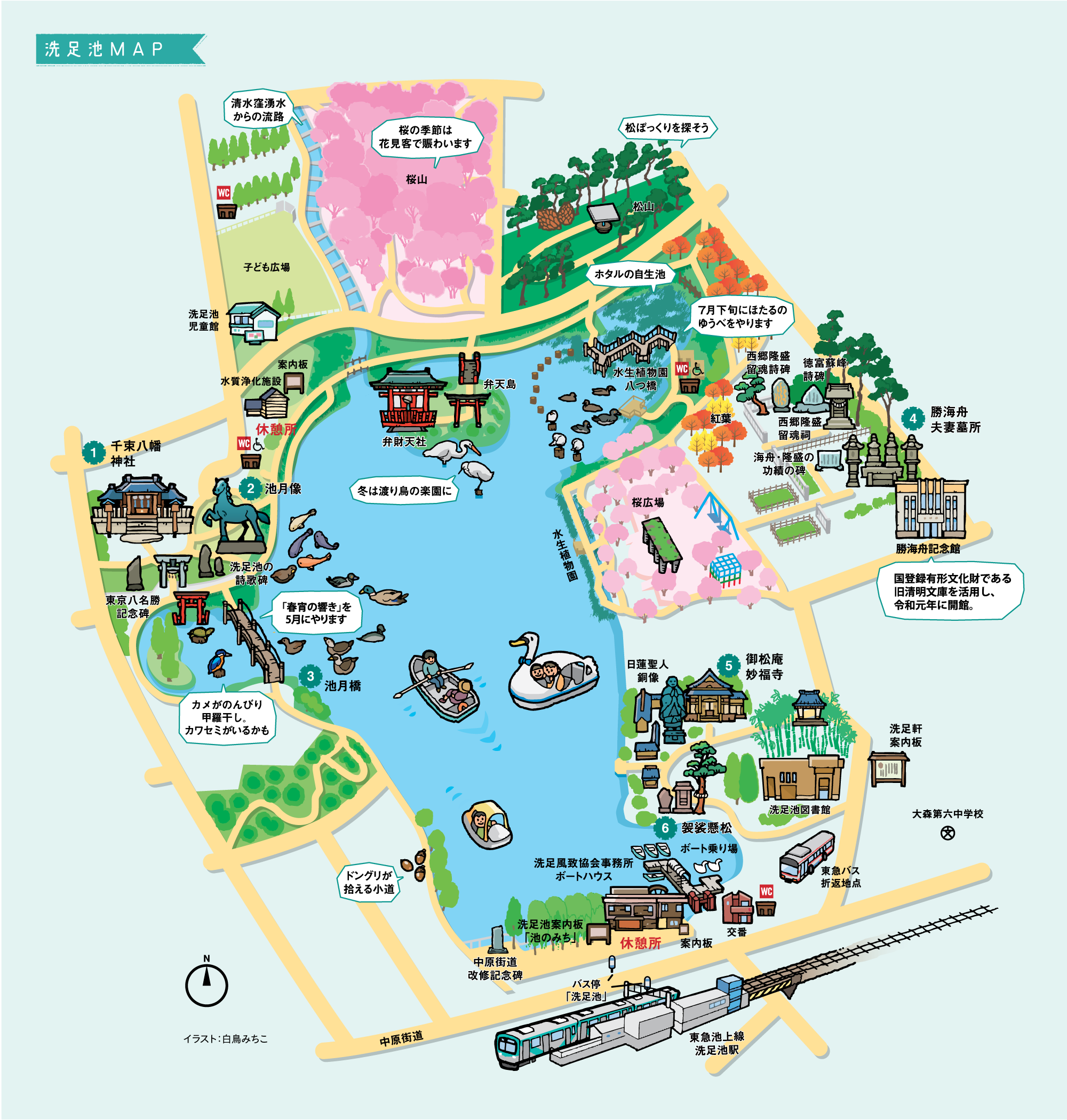 洗足池公園の魅力を完全網羅！桜絶景と勝海舟の歴史・ボート散策ガイド
