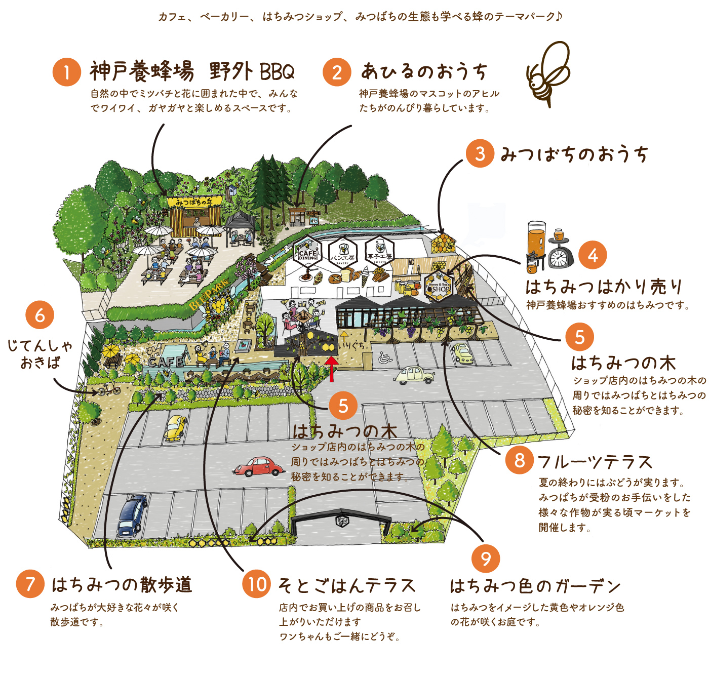 神戸養蜂場の評判と現在を徹底検証！絶品ランチと噂の真相【2026】