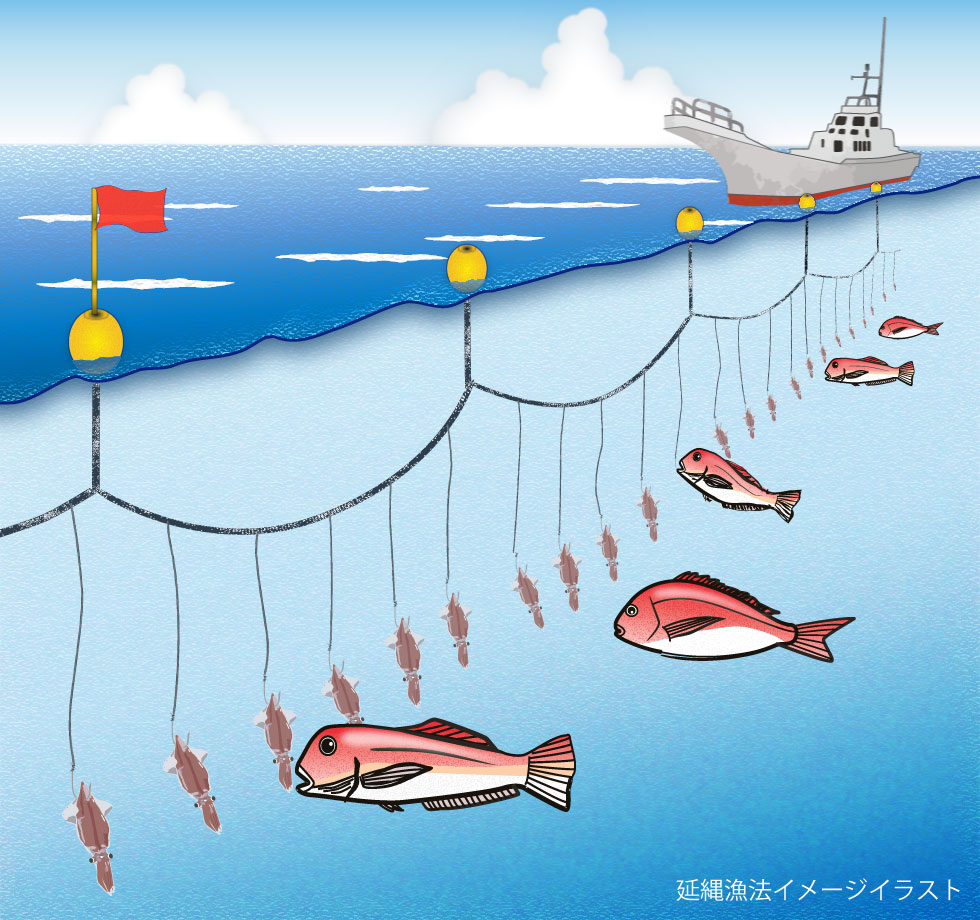 延縄漁の仕組みと実態｜全長100Kmの仕掛けと巻き網の違いを徹底解説