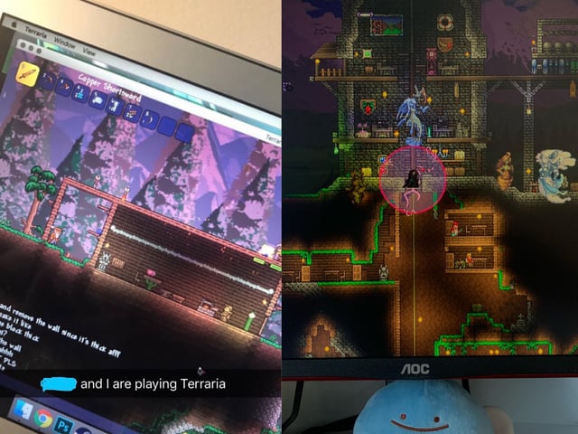 Can You Play Terraria on Macbook