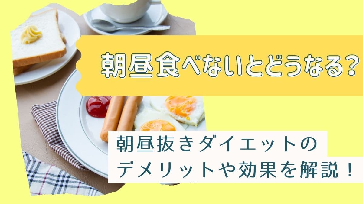 朝昼食べない生活は痩せるのか？血糖値スパイクと代謝低下の真相を暴く