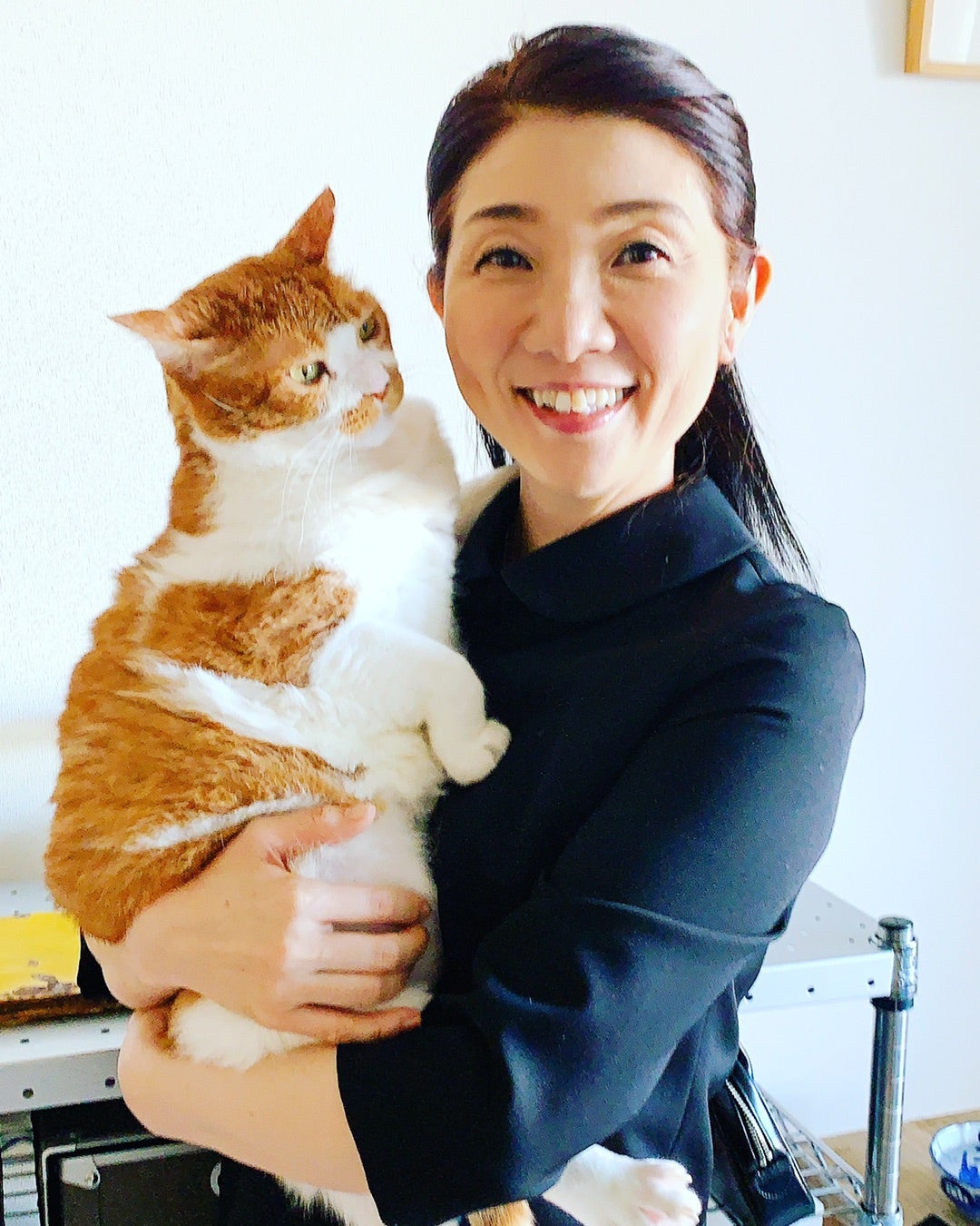 松居直美ブログが心を打つ理由｜愛犬との別れと息子の現在を追う
