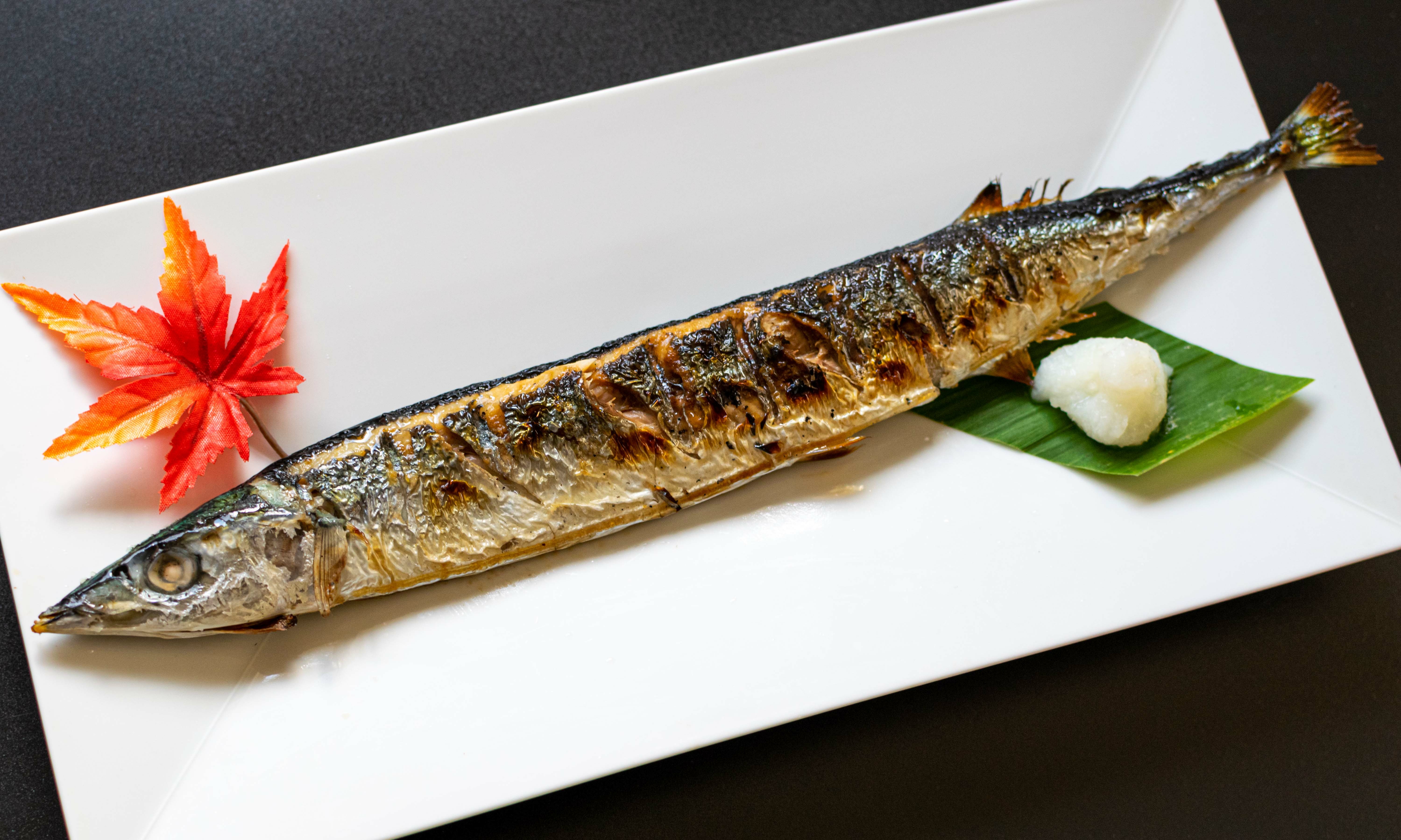 秋刀魚の塩焼き決定版！皮パリ身ふっくらを実現するプロの極意2026