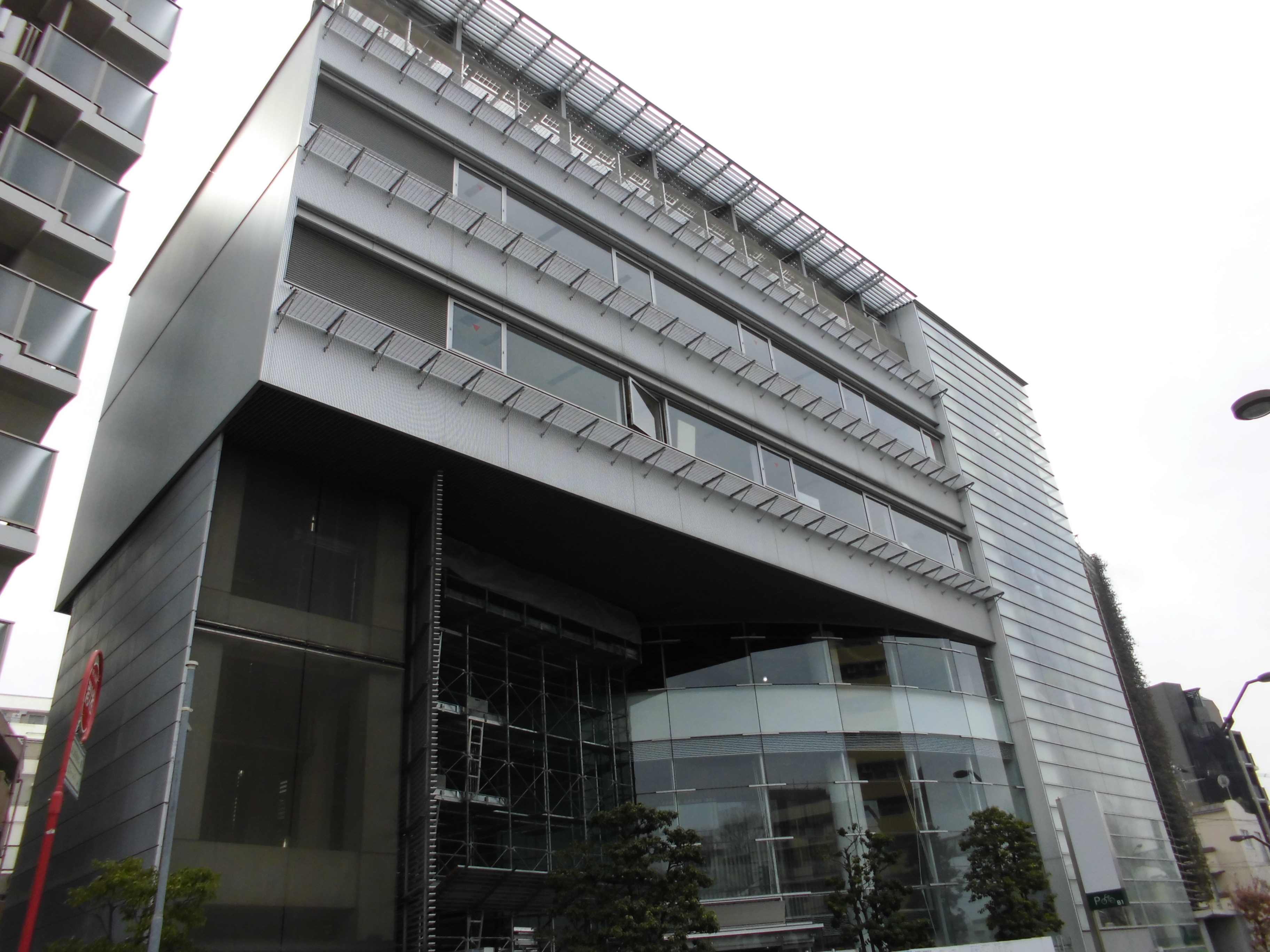 【2026最新】バラの花言葉全貌！贈ると危険な色・本数の真実