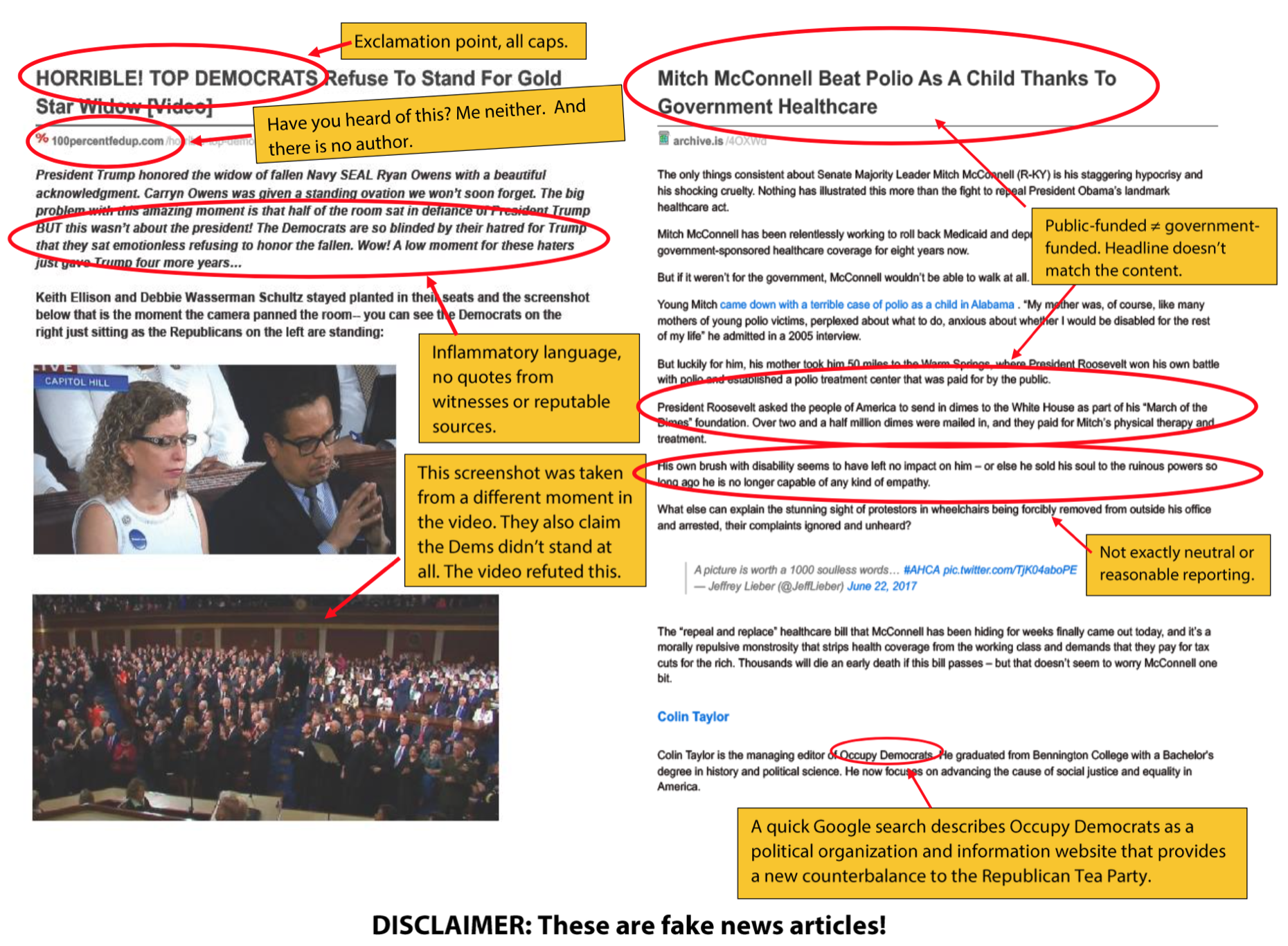 Example Fake News Article