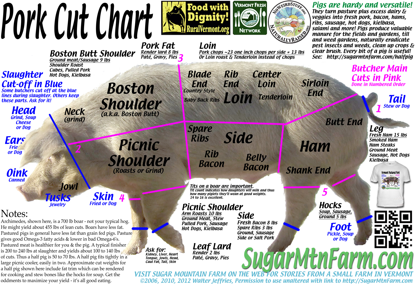 What Part of the Pig Is Chorizo