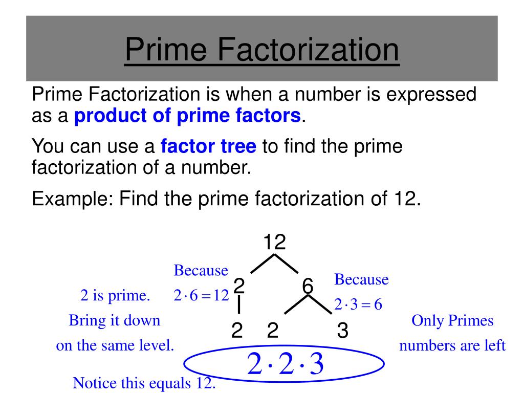 What Is the Definition for Prime Factorization