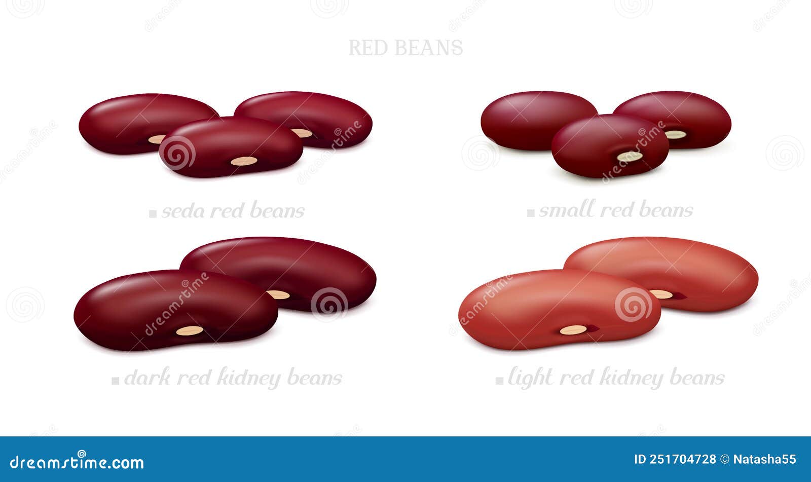 Difference Between Dark and Light Kidney Beans
