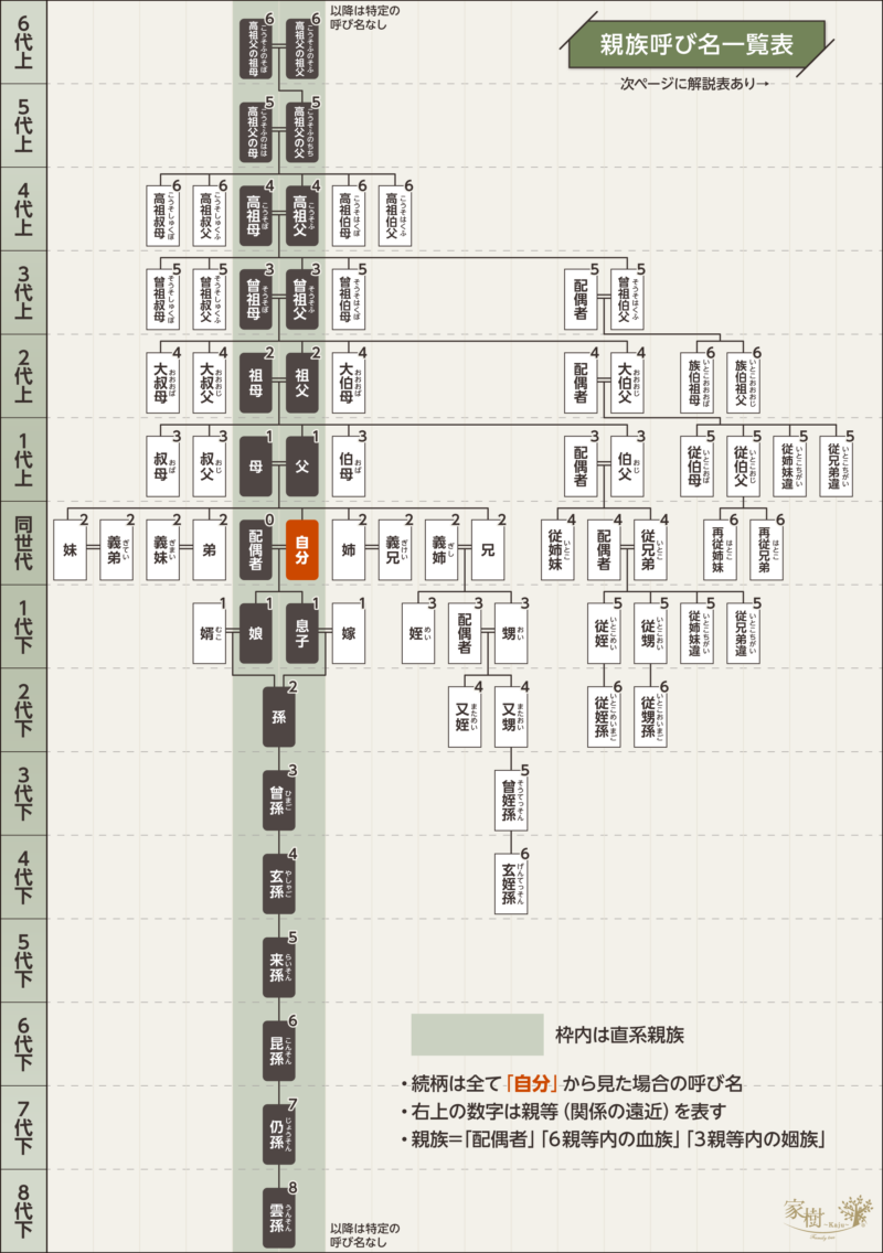 家系図の呼び方早見表！はとこと玄孫の親等・正しい表記法を徹底解説