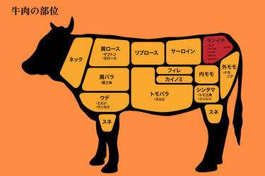 【経歴】 ランプ 肉 と は 2026年最新メディア #846
