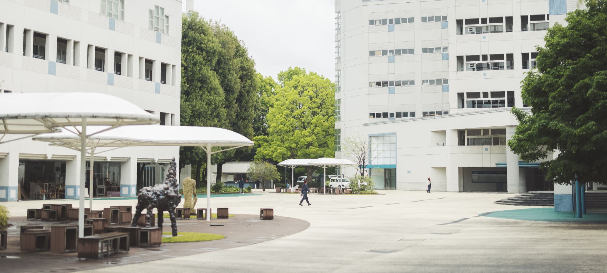 女子美術大学相模原キャンパスの評判！杉並との違いやアクセスを徹底解剖