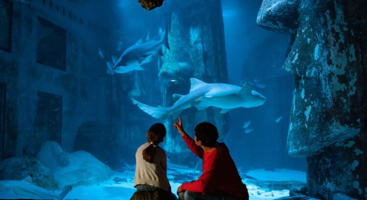 Two for One Sea Life London