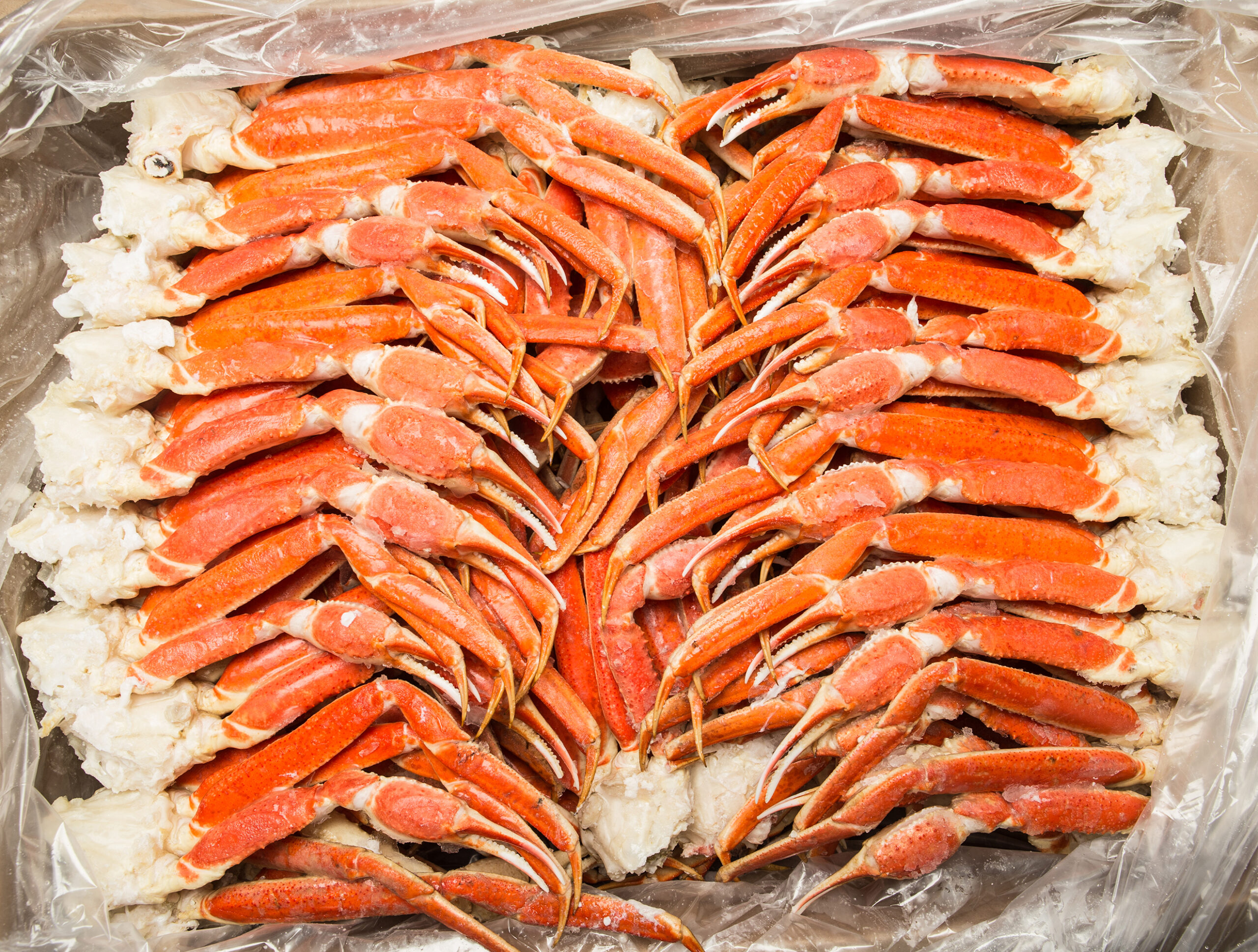 How Many Snow Crab Clusters in a Pound