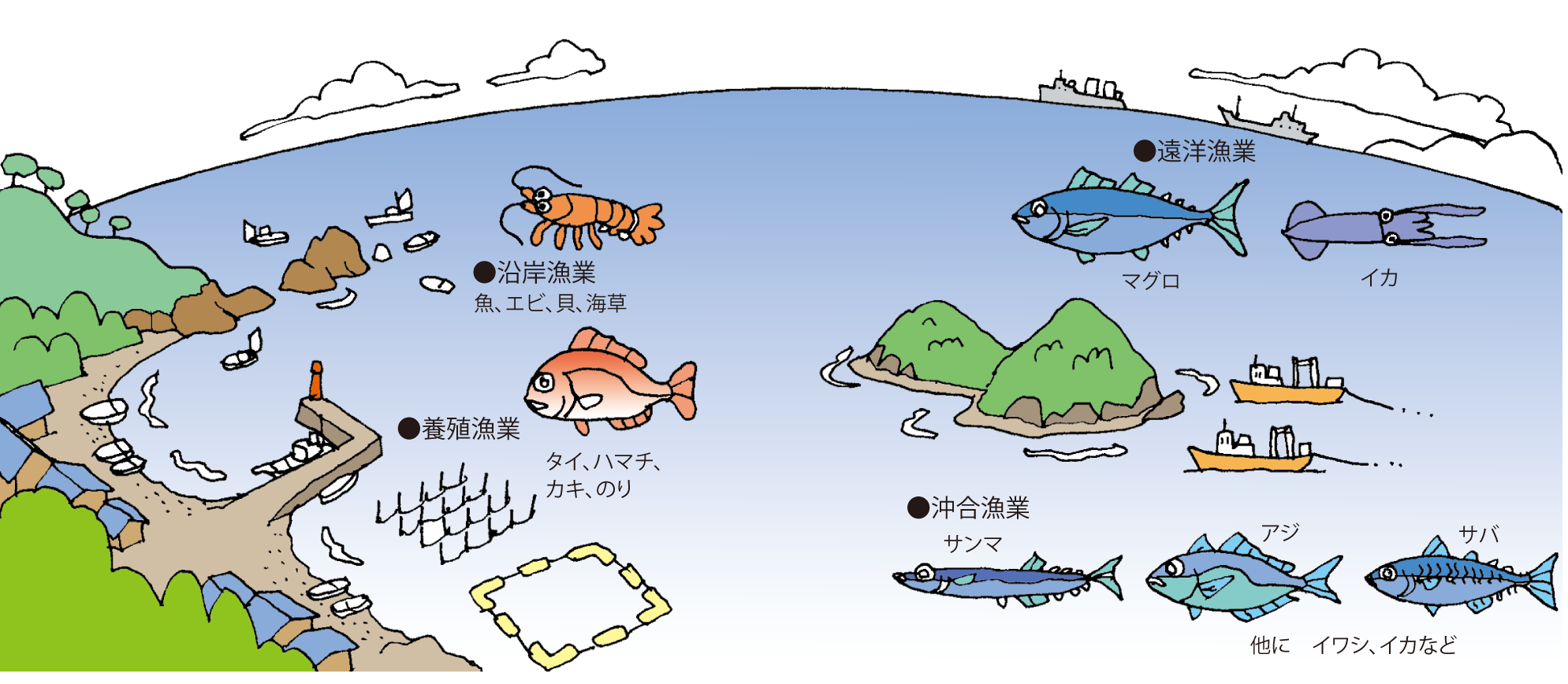 沖合漁業とは？沿岸・遠洋との違いや激減する水揚げの真相【2026】