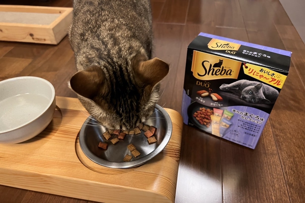 猫のシーバは体に悪い？腎臓病や添加物の危険性と中毒性の噂を徹底検証