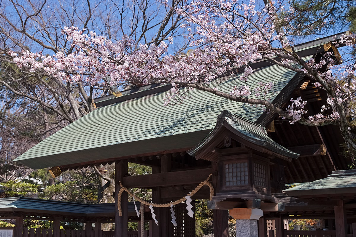 船橋大神宮の真実とご利益を徹底解明！歴史から初詣・限定御朱印まで
