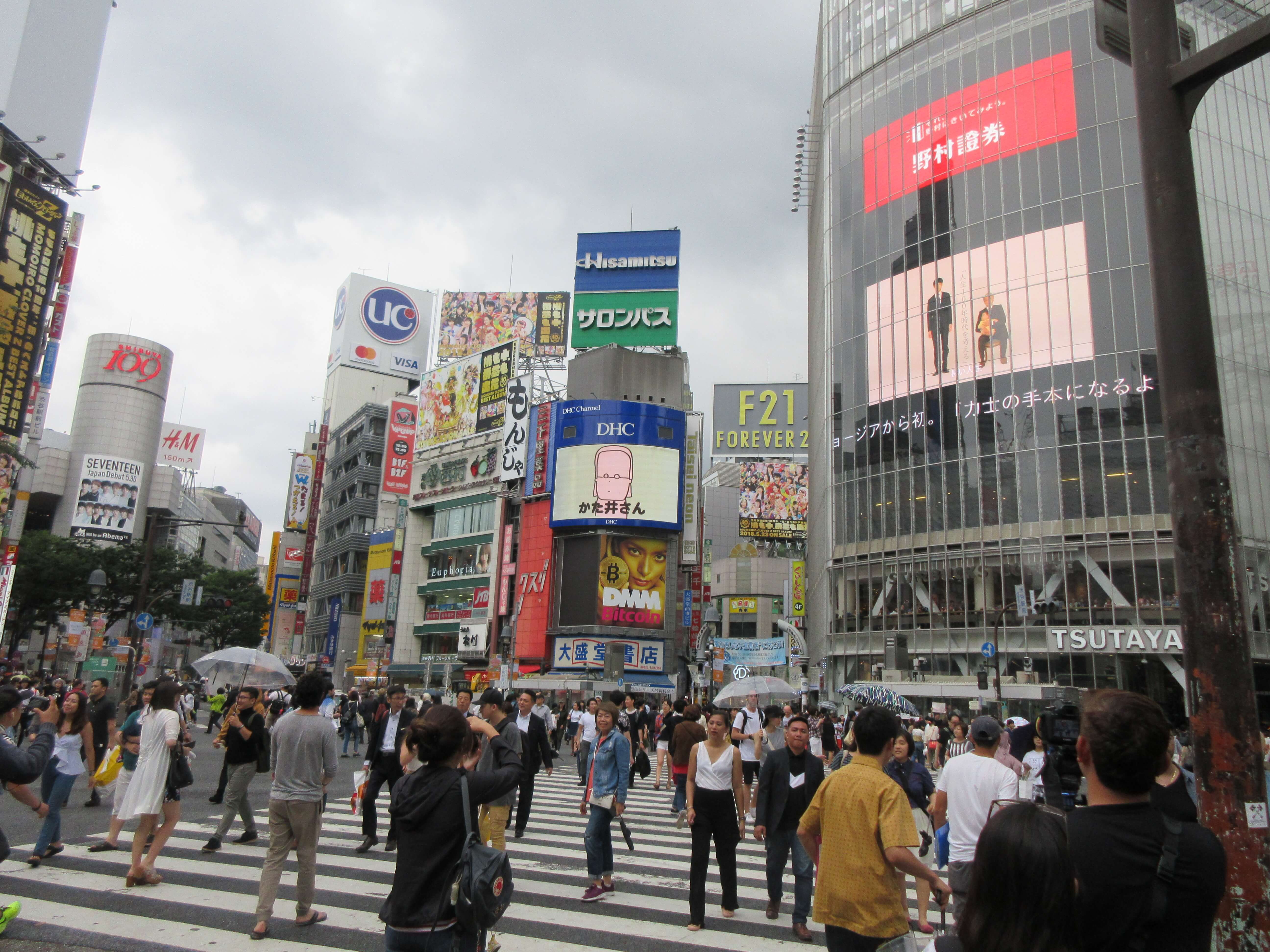 渋谷区役所恵比寿駅前出張所ガイド！住民票や混雑攻略の裏技【2026】
