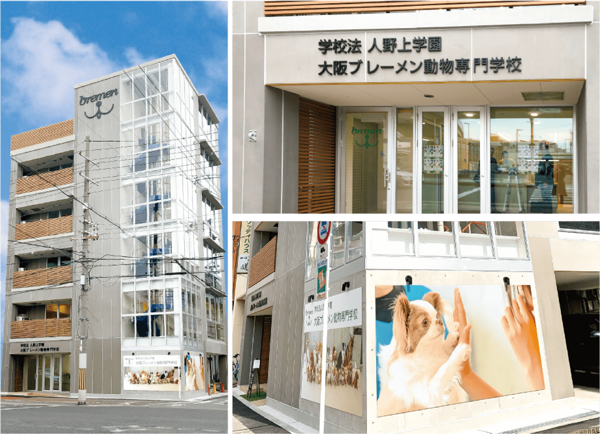 ブレーメン動物専門学校の評判とやばい噂を追跡！就職と学費の真実