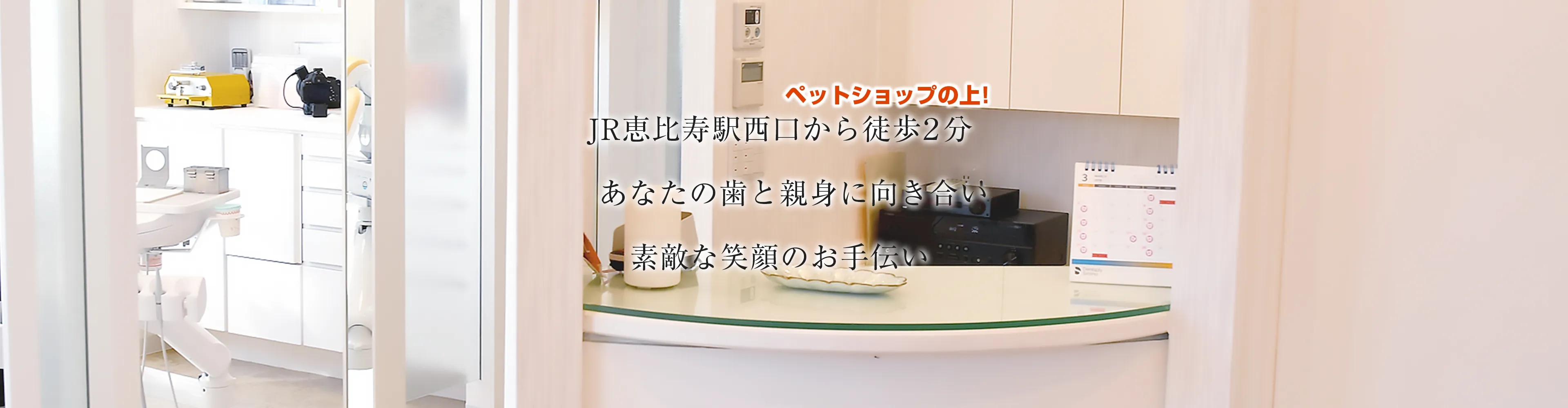 注文ごとの生豆焙煎！やなか珈琲店の限定希少豆と失敗しない選び方
