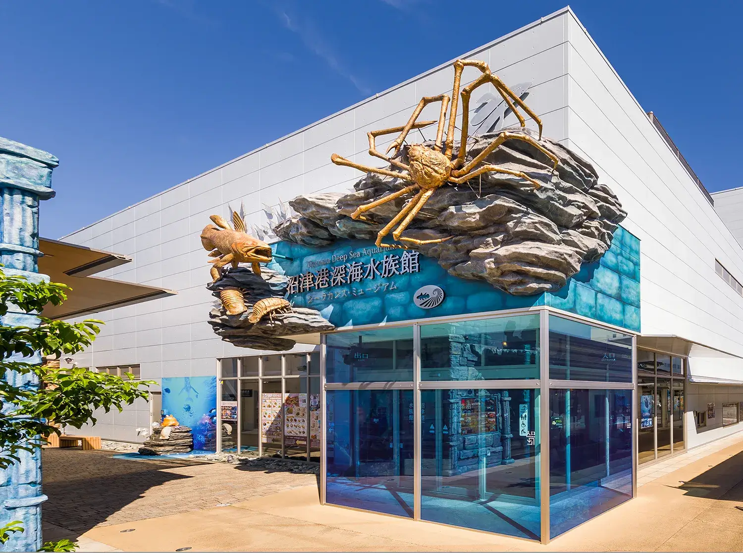 静岡県の水族館人気ランキング2026！割引クーポンや穴場の真相を徹底比較