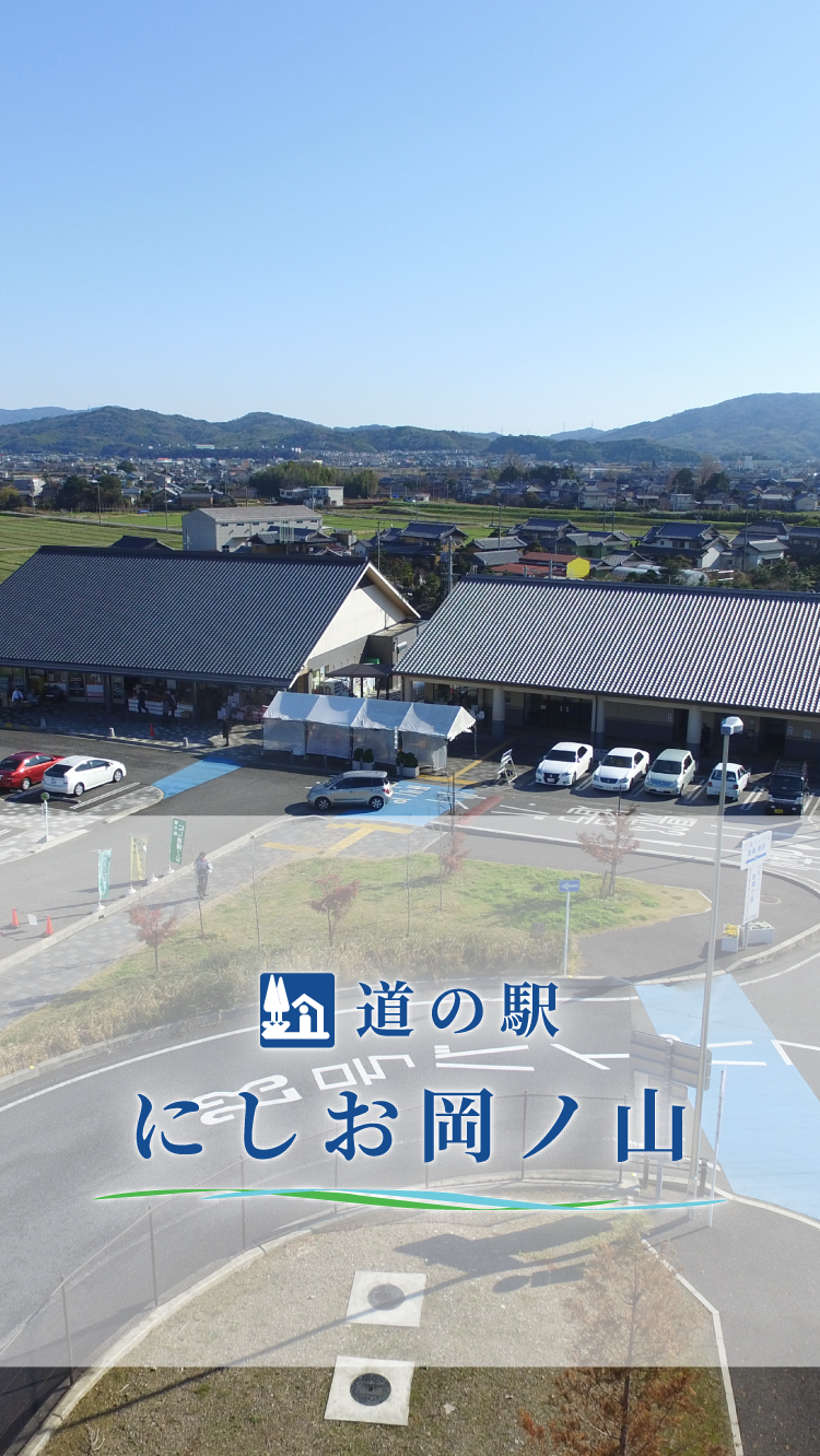 道の駅にしお岡ノ山完全攻略！抹茶鰻グルメと車中泊の真相2026