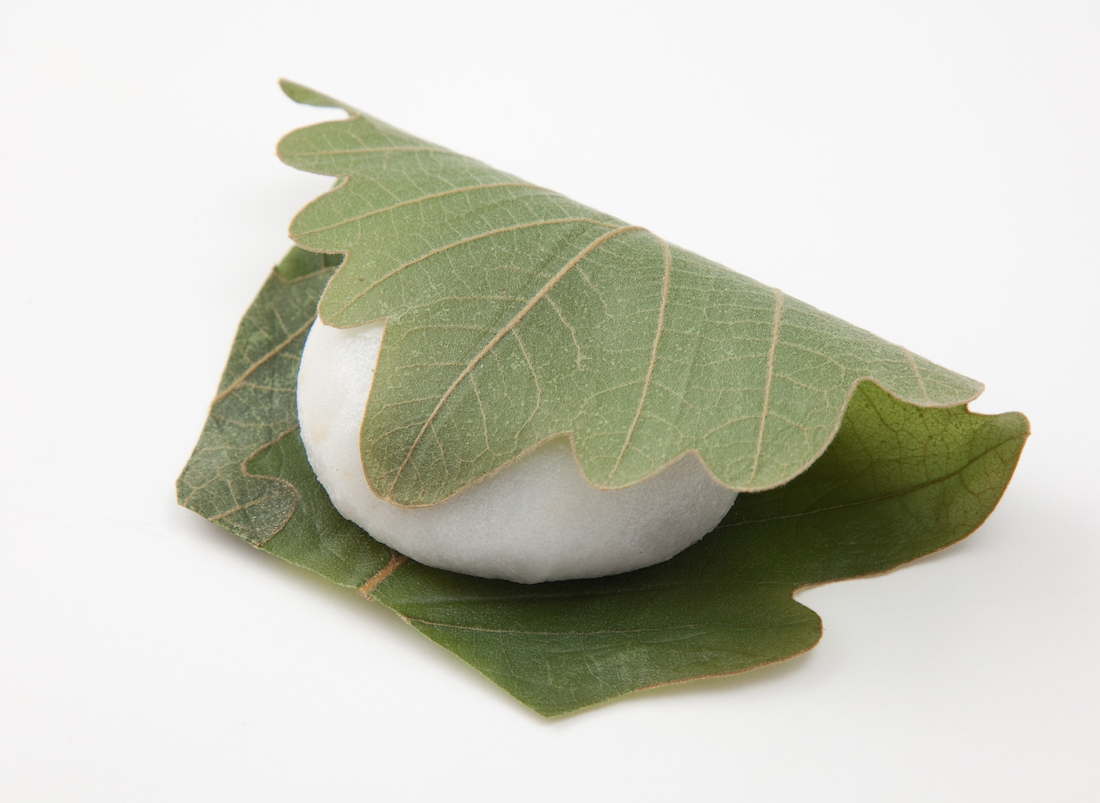 柏餅の葉っぱは食べるのが正解？桜餅との違いや誤食時の影響を徹底解説