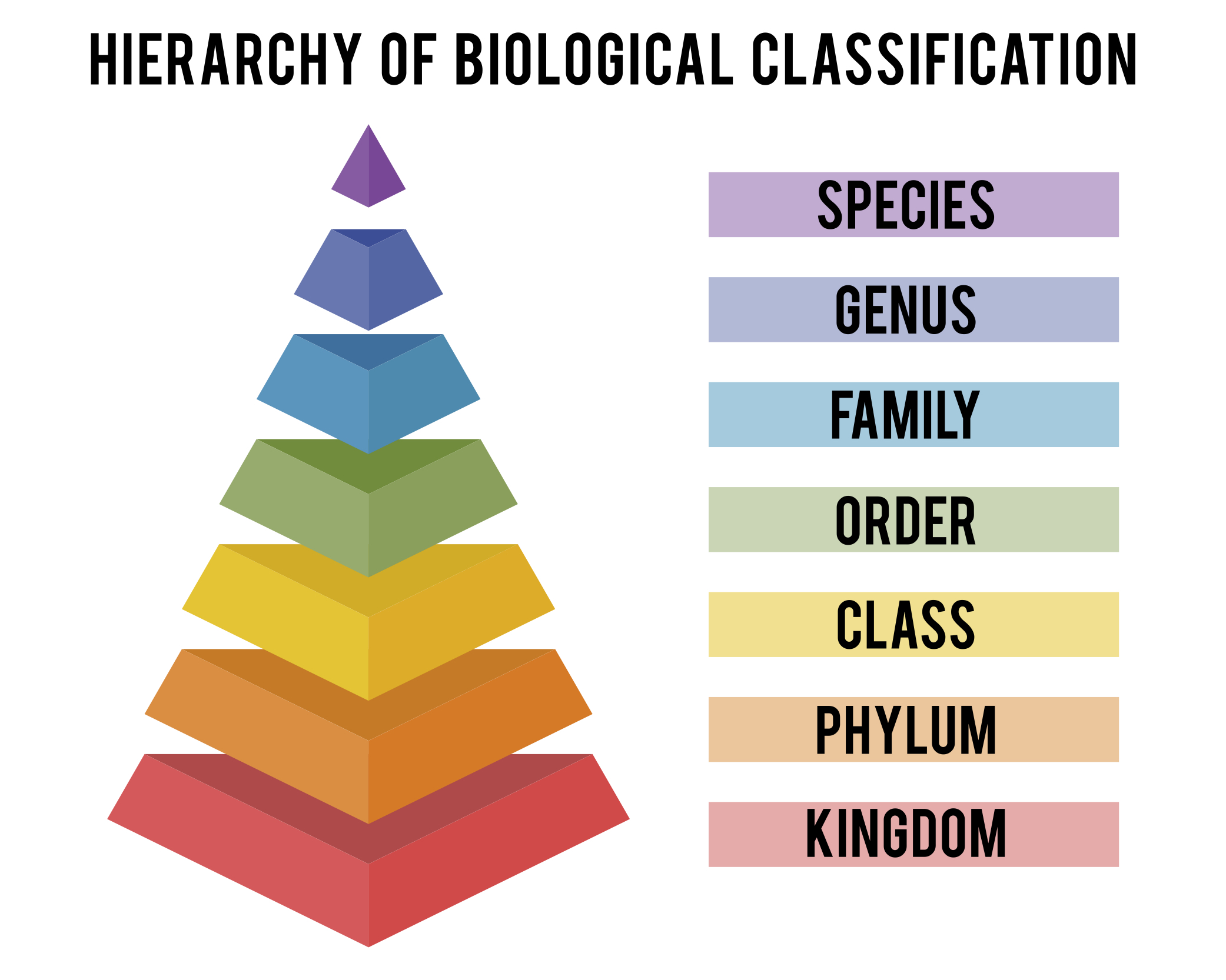 Taxonomy Is the Science of Classification