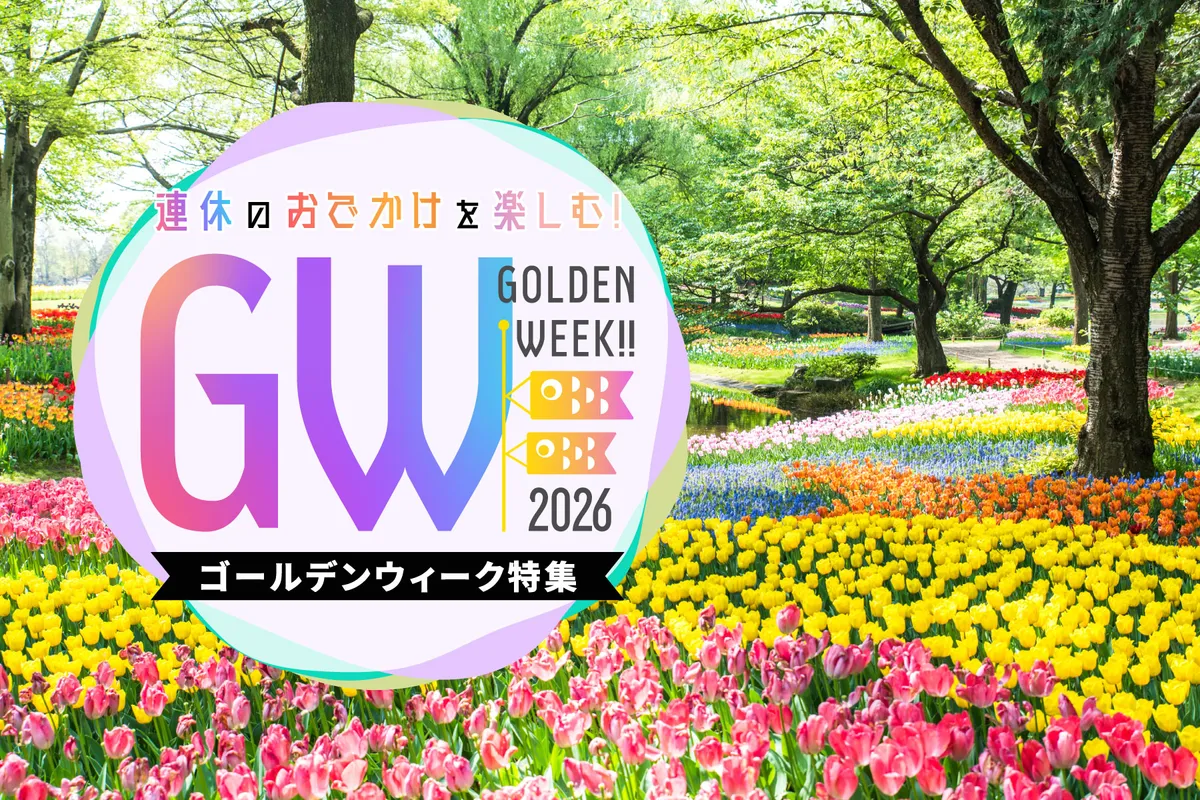 2026年空前のミニマルヘア熱。なぜ今「オン眉」を選ぶ人が急増しているのか？その境界線を探る