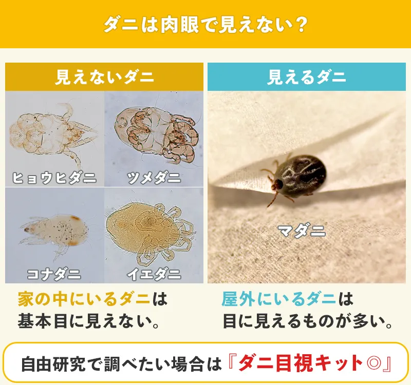 【2026年最新取材】猛暑と高密閉住宅が引き起こす「潜伏ダニ急増」の恐怖！置くだけ対策の真実と失敗しない選び方