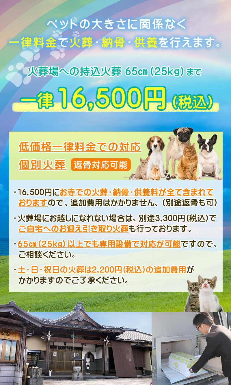 諏訪公園を揺るがす噂の真相とは？炎上の経緯解説と最新情報まとめ