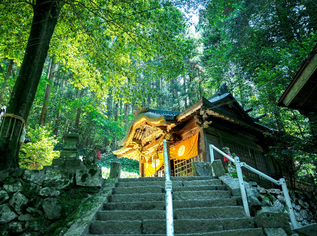 鳥取の最強金運神社5選！金持神社の宝くじ当選伝説と穴場巡り【2026】