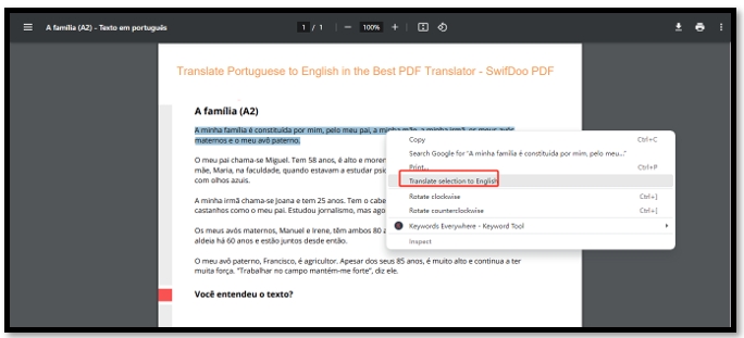Portuguese to English Translation Google