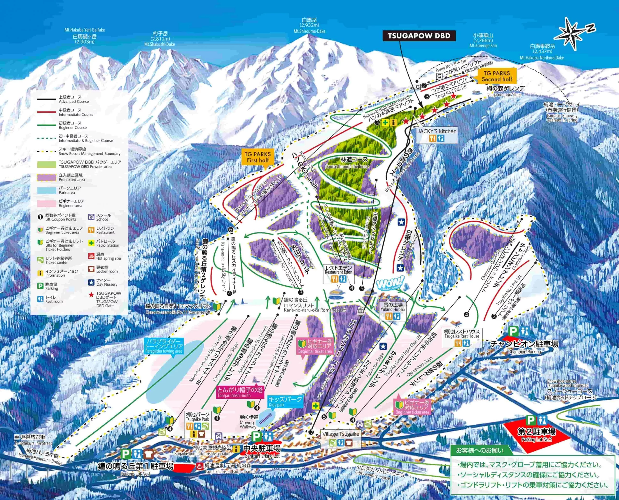 白馬・栂池の魅力と最新情報！絶景自然園から雪質・宿泊まで徹底解剖