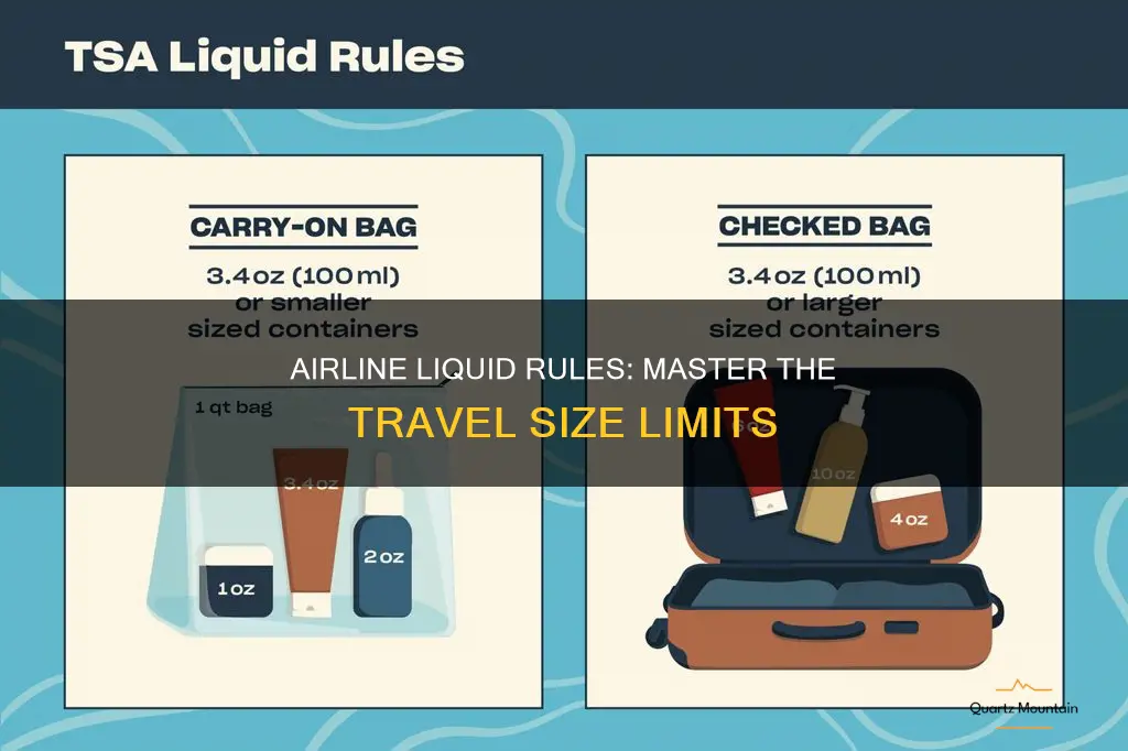 Tsa Carry on Liquid Size