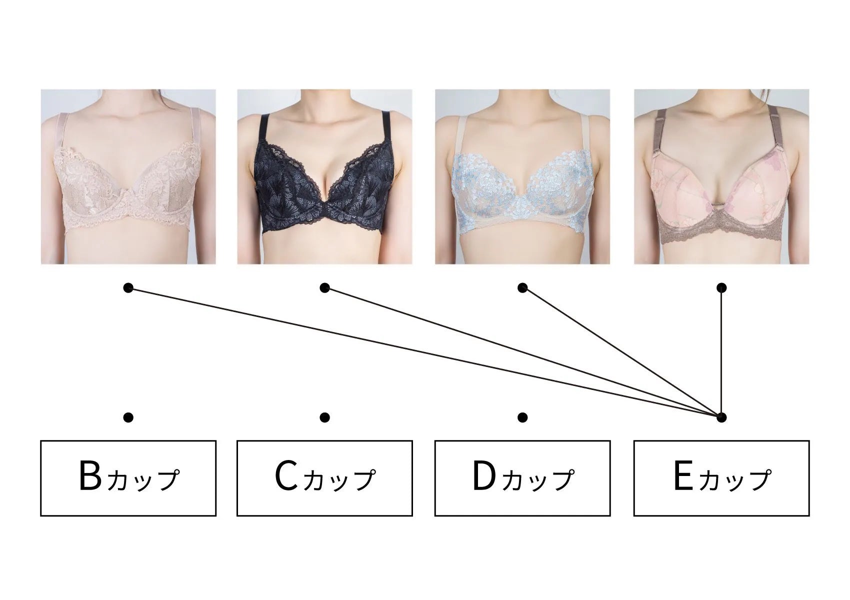Fカップの実際のサイズと見た目は？重さ・アンダー別の違いを徹底検証