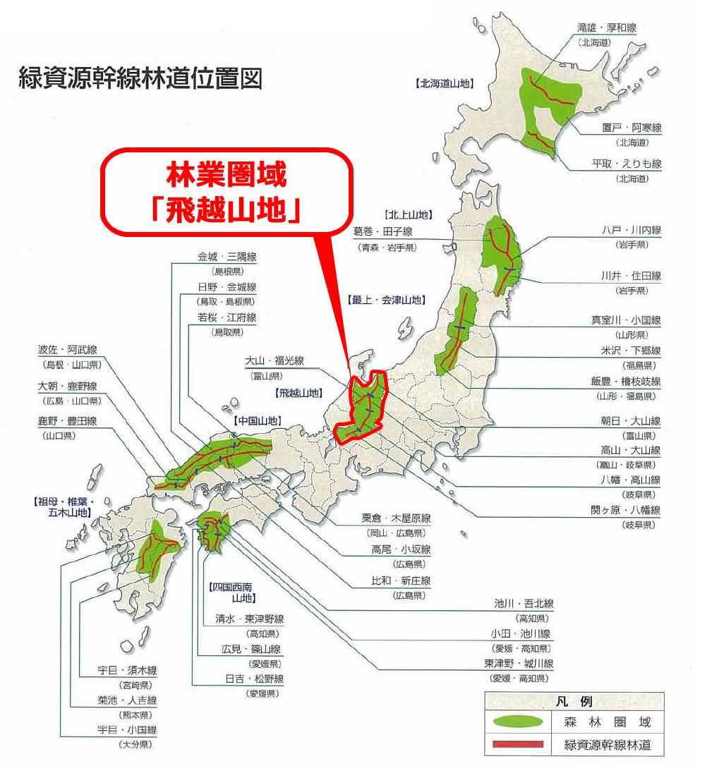 緑資源機構の廃止理由と官製談合の真相｜現在の実態と解体劇を徹底解説