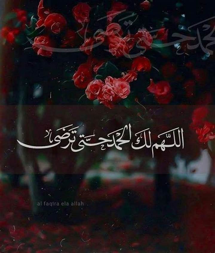 اللهم لك الحمد حتى ترضى. . معنى الدعاء ومتى يُقال ولماذا يطمئن القلب