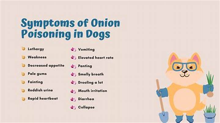 Can Dogs Eat Onions? the Risks, What to Do, and Safer Options