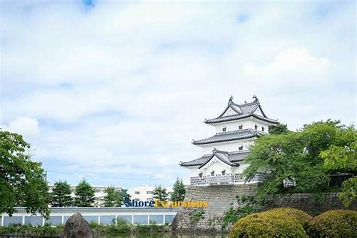 エーゲ海柴田とは？その魅力と知られざる実態を徹底解説