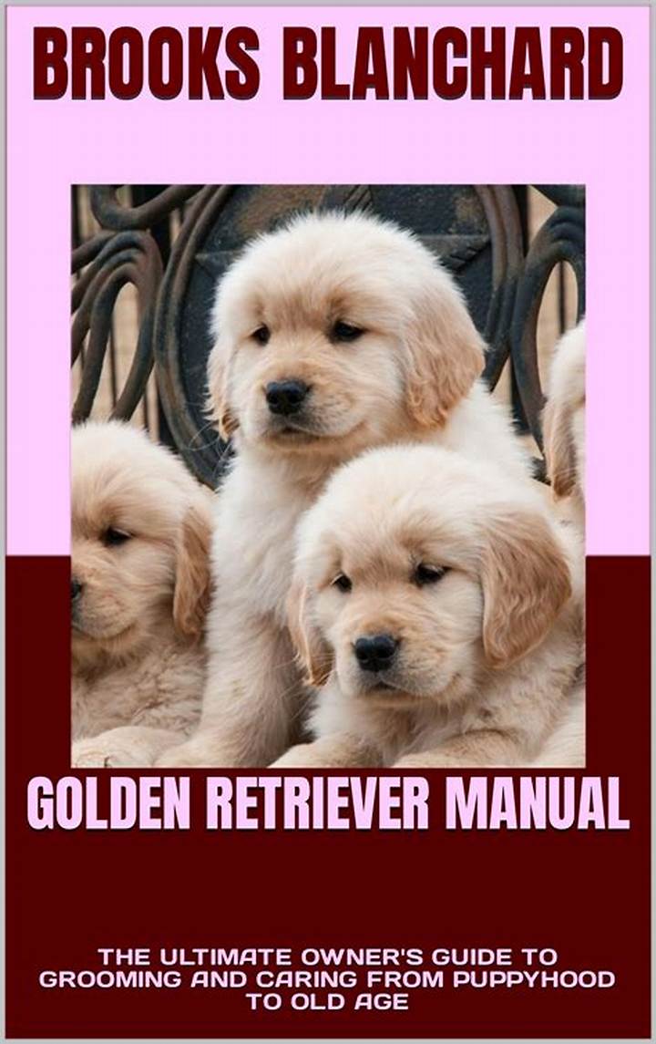 Golden Retriever Grandma Grooming: a Practical Guide for Loving Care