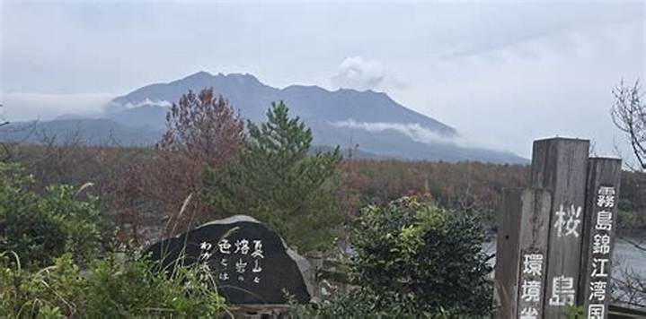 阪 高 ファイン パーク 桜島 第 1とは？施設・アクセス・見どころ解説