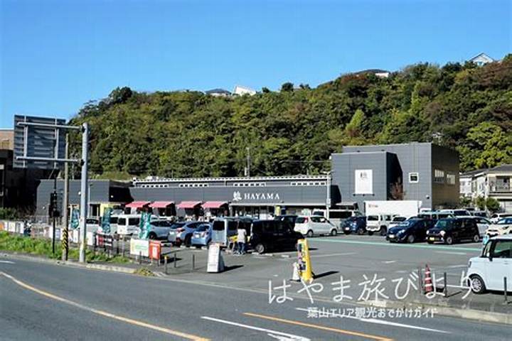 葉山ステーション 年末年始休業 2025 営業再開日と休業情報