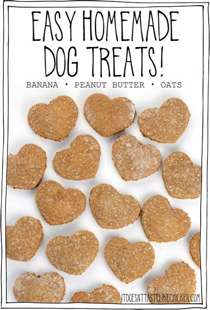 愛犬の健康を守る無添加レシピ：簡単＆安全な「犬のおやつ作り方」完全ガイド