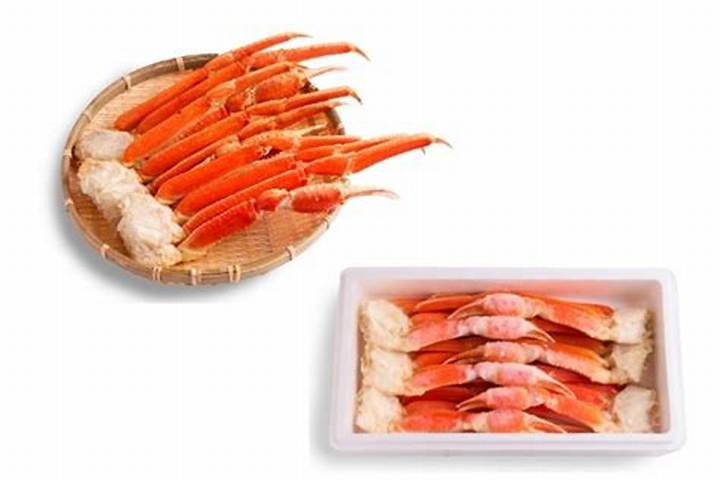 境港の海に生きる北陽水産、カニ漁と鮮度へのこだわり